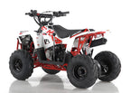 Quad 110cc Commander ATV Ruota 6 Maxi