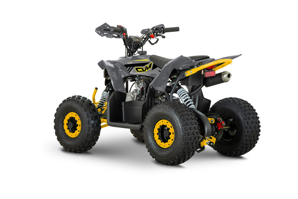 Quad 110cc Pg PRO Ruote 6 + Retro