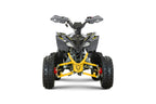 Quad 110cc Pg PRO Ruote 6 + Retro