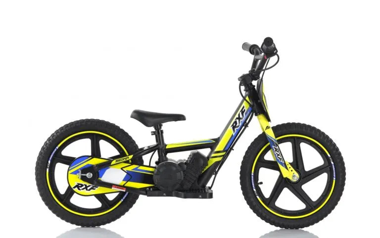 Bici Elettrica Sedna Ruota 16/16 170W