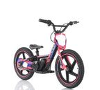 Bici Elettrica Sedna Ruota 16/16 170W