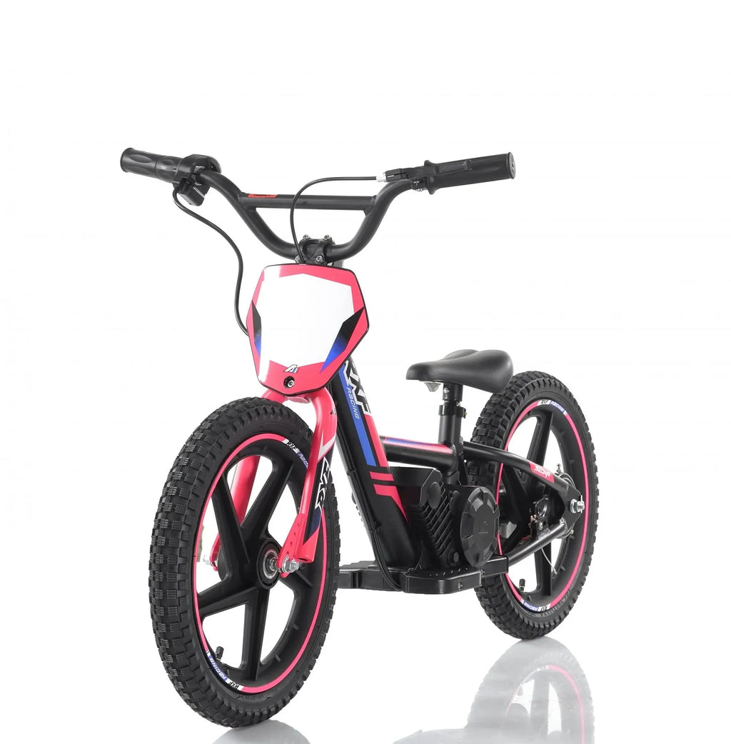 Bici Elettrica Sedna Ruota 16/16 170W