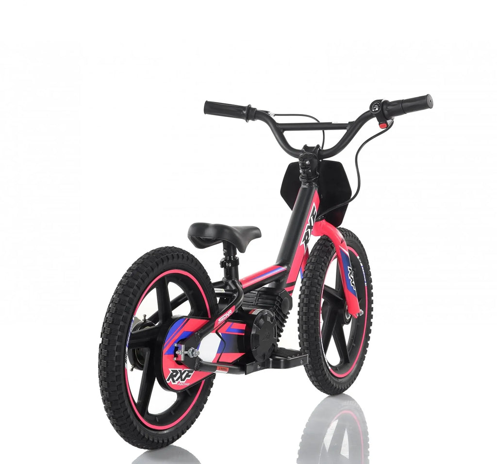 Bici Elettrica Sedna Ruota 16/16 170W