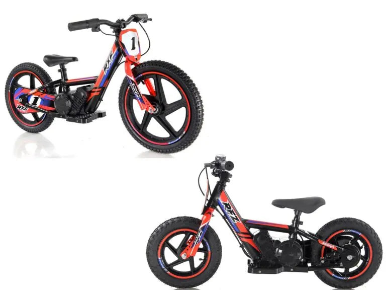 Bici Elettrica Sedna Ruota 16/16 170W