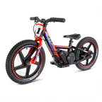 Bici Elettrica Sedna Ruota 16/16 170W