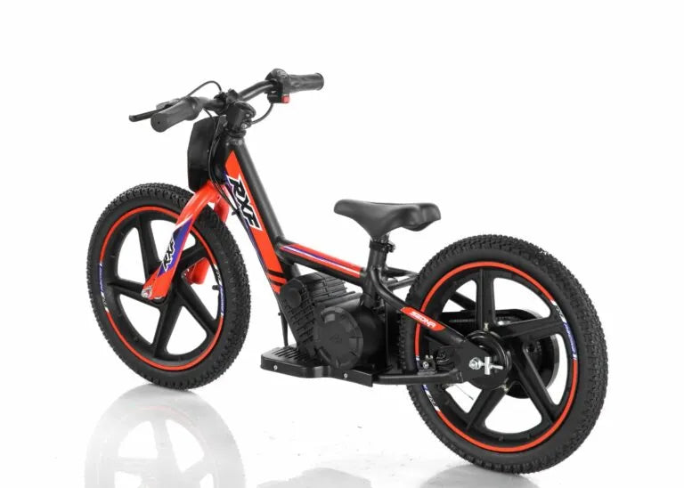 Bici Elettrica Sedna Ruota 16/16 170W