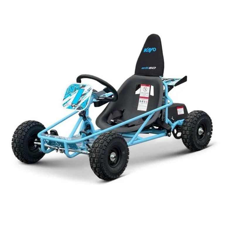 Buggy ES50 Elettrico 800W 36V