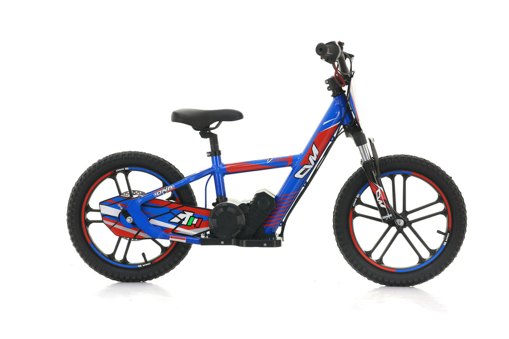 Bici Elettrica DNA 16 Batteria A Litio