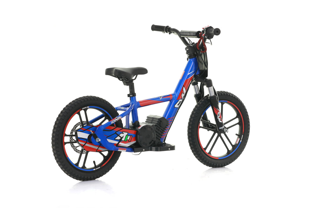 Bici Elettrica DNA 16 Batteria A Litio