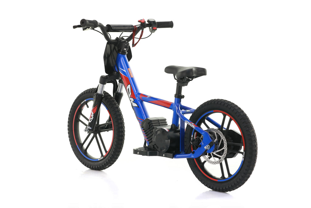 Bici Elettrica DNA 16 Batteria A Litio