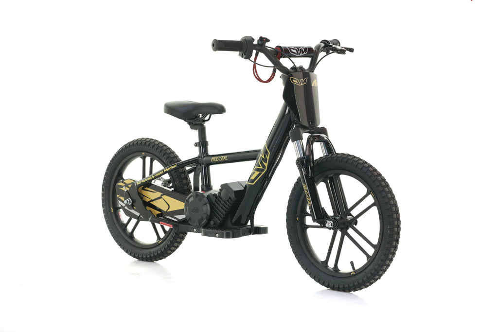 Bici Elettrica DNA 16 Batteria A Litio