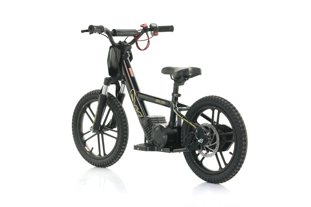 Bici Elettrica DNA 16 Batteria A Litio