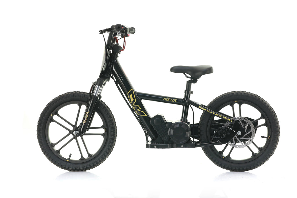 Bici Elettrica DNA 16 Batteria A Litio