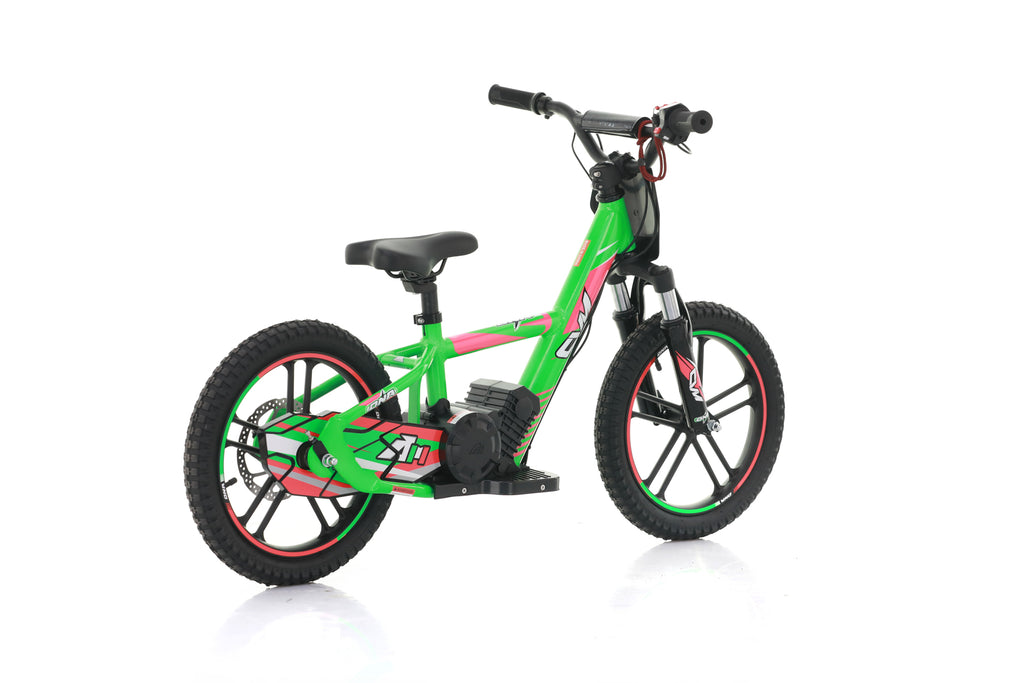 Bici Elettrica DNA 16 Batteria A Litio