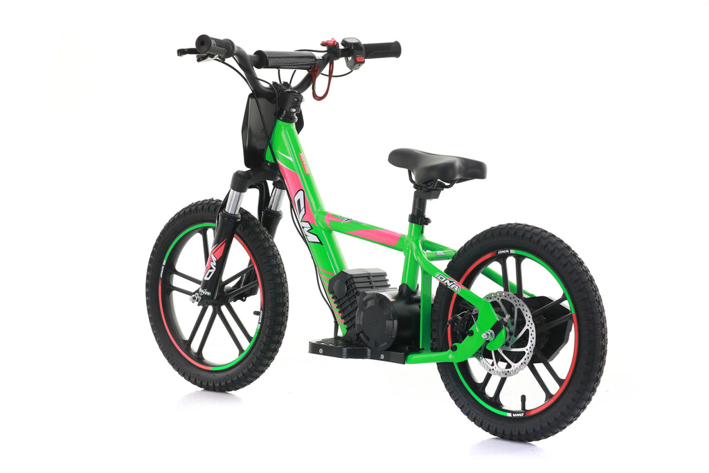 Bici Elettrica DNA 16 Batteria A Litio