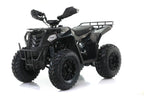 Maxi Quad Commander 150cc Ruote 10