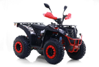 Maxi Quad Commander 200cc T3B - Omologato