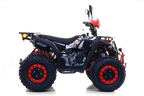 Maxi Quad Commander 200cc T3B - Omologato