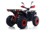 Maxi Quad Commander 200cc T3B - Omologato