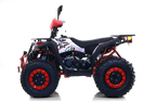 Maxi Quad Commander 200cc T3B - Omologato