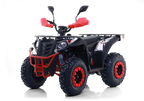 Maxi Quad Commander 200cc T3B - Omologato