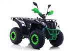 Maxi Quad Commander 200cc T3B - Omologato