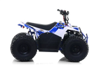Quad Commander E-1000W Ruota 7