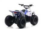 Quad Commander E-1000W Ruota 7