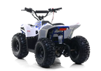 Quad Commander E-1000W Ruota 7
