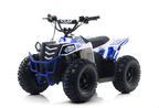 Quad Commander E-1000W Ruota 7