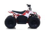 Quad Commander E-1000W Ruota 7