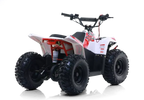 Quad Commander E-1000W Ruota 7