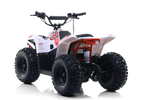 Quad Commander E-1000W Ruota 7