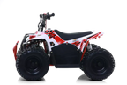 Quad Commander E-1000W Ruota 7