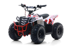Quad Commander E-1000W Ruota 7