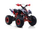Quad Falcon 125cc Automatico Ruota 8