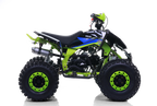 Quad Falcon 125cc Automatico Ruota 8