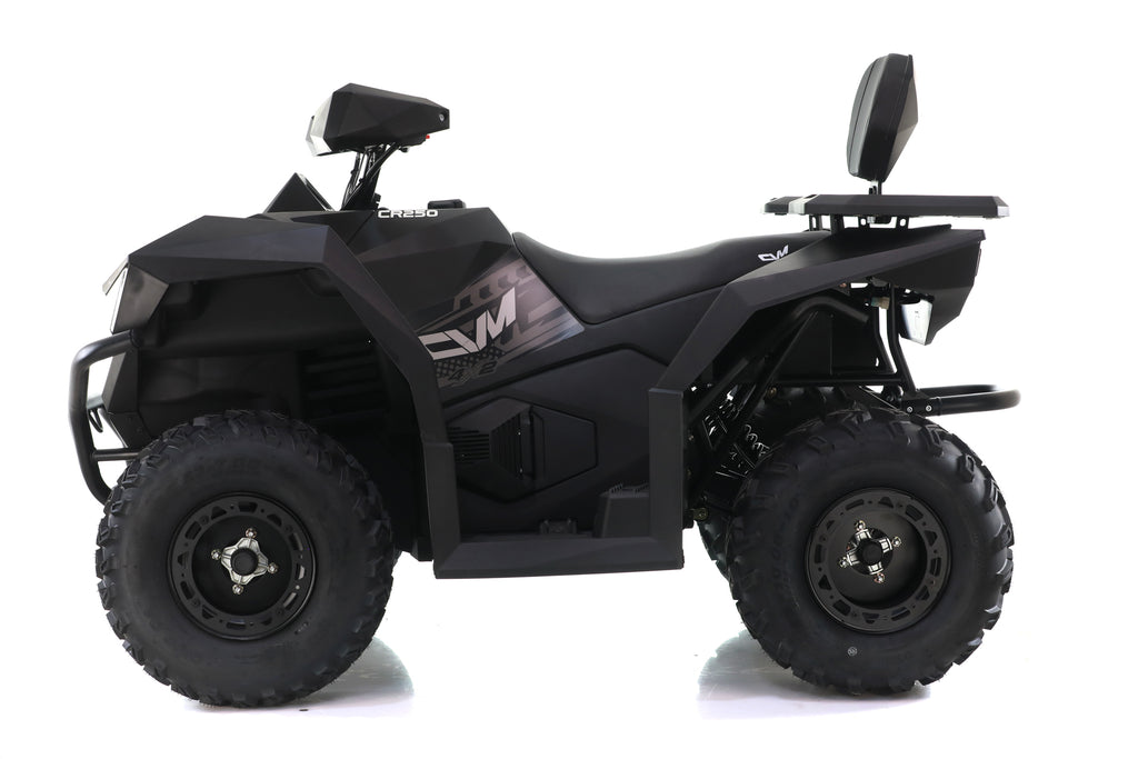 Maxi Quad Cyberroamer 250 Ruota 10 Big