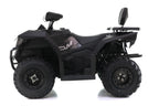 Maxi Quad Cyberroamer 250 Ruota 10 Big