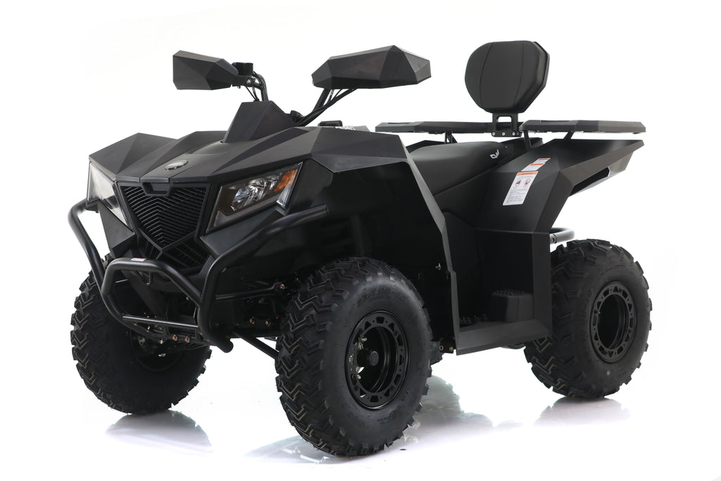 Maxi Quad Cyberroamer 250 Ruota 10 Big