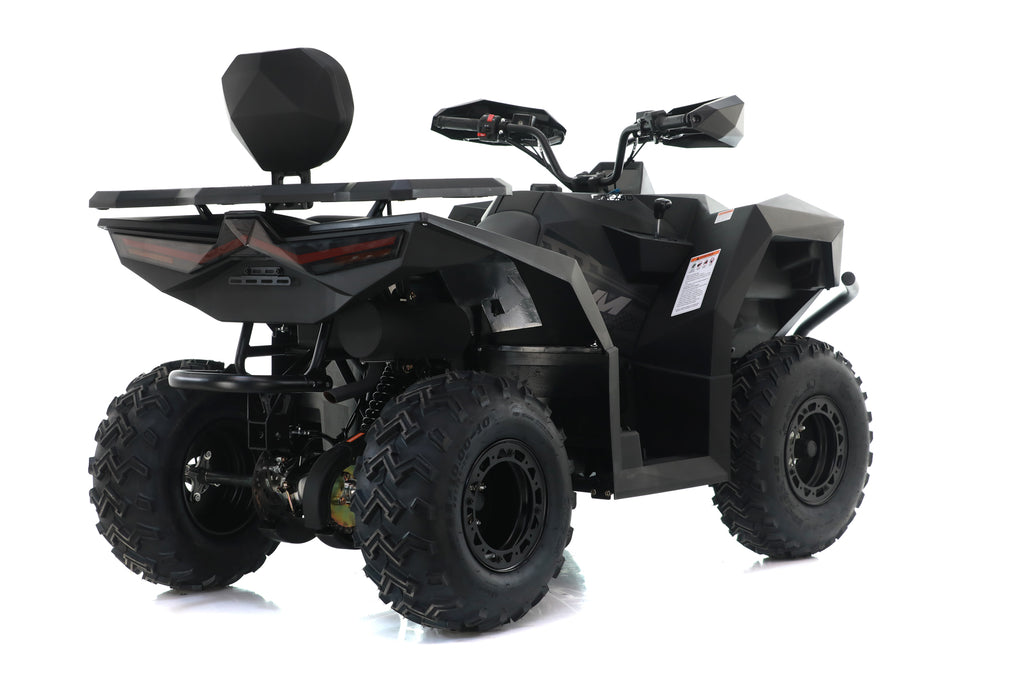 Maxi Quad Cyberroamer 250 Ruota 10 Big