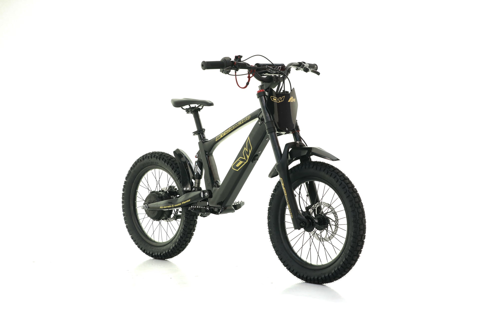 Bici Elettrica Evo Racing 18