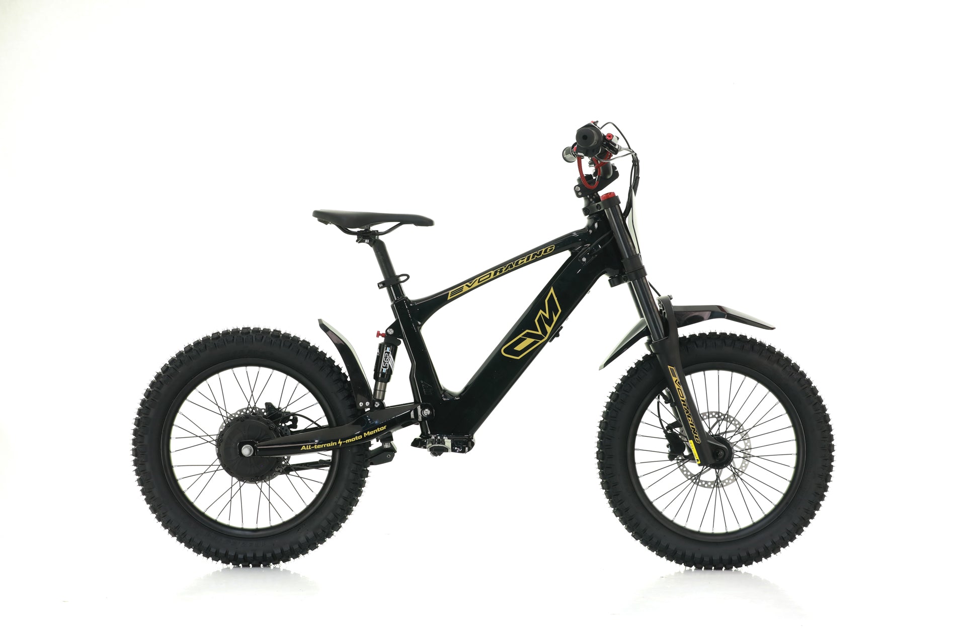 Bici Elettrica Evo Racing 18