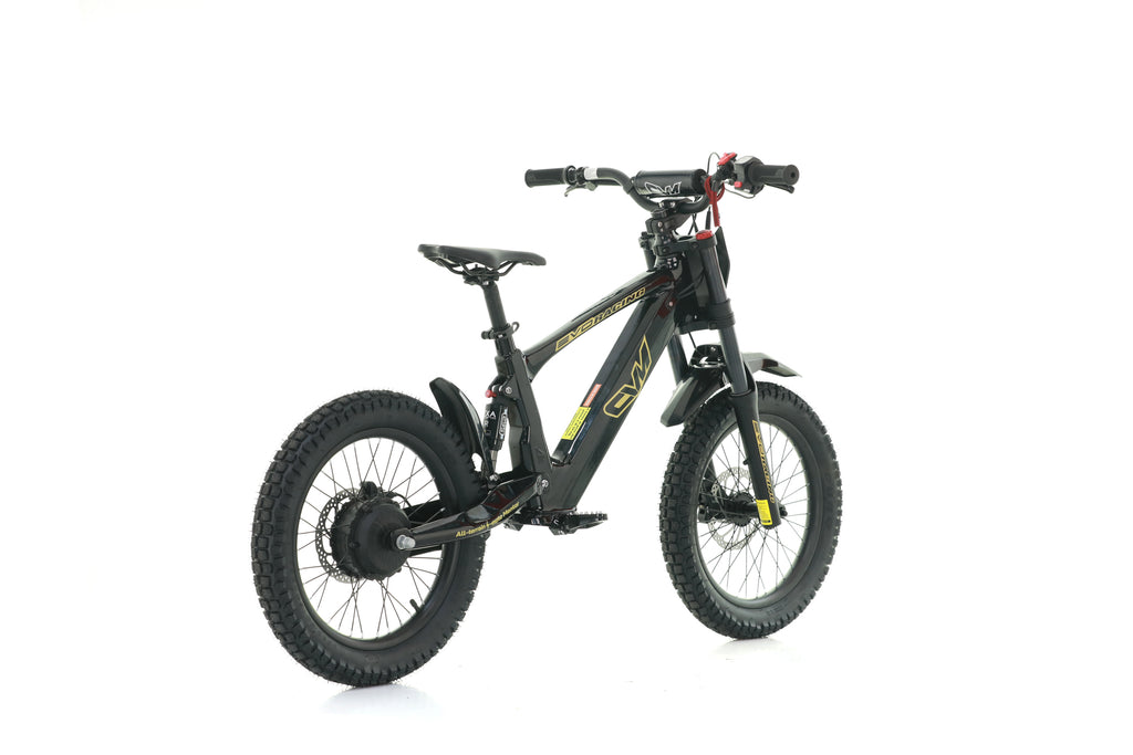 Bici Elettrica Evo Racing 18