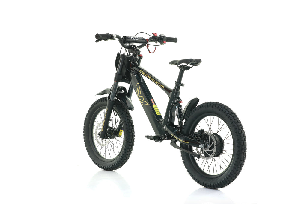 Bici Elettrica Evo Racing 18