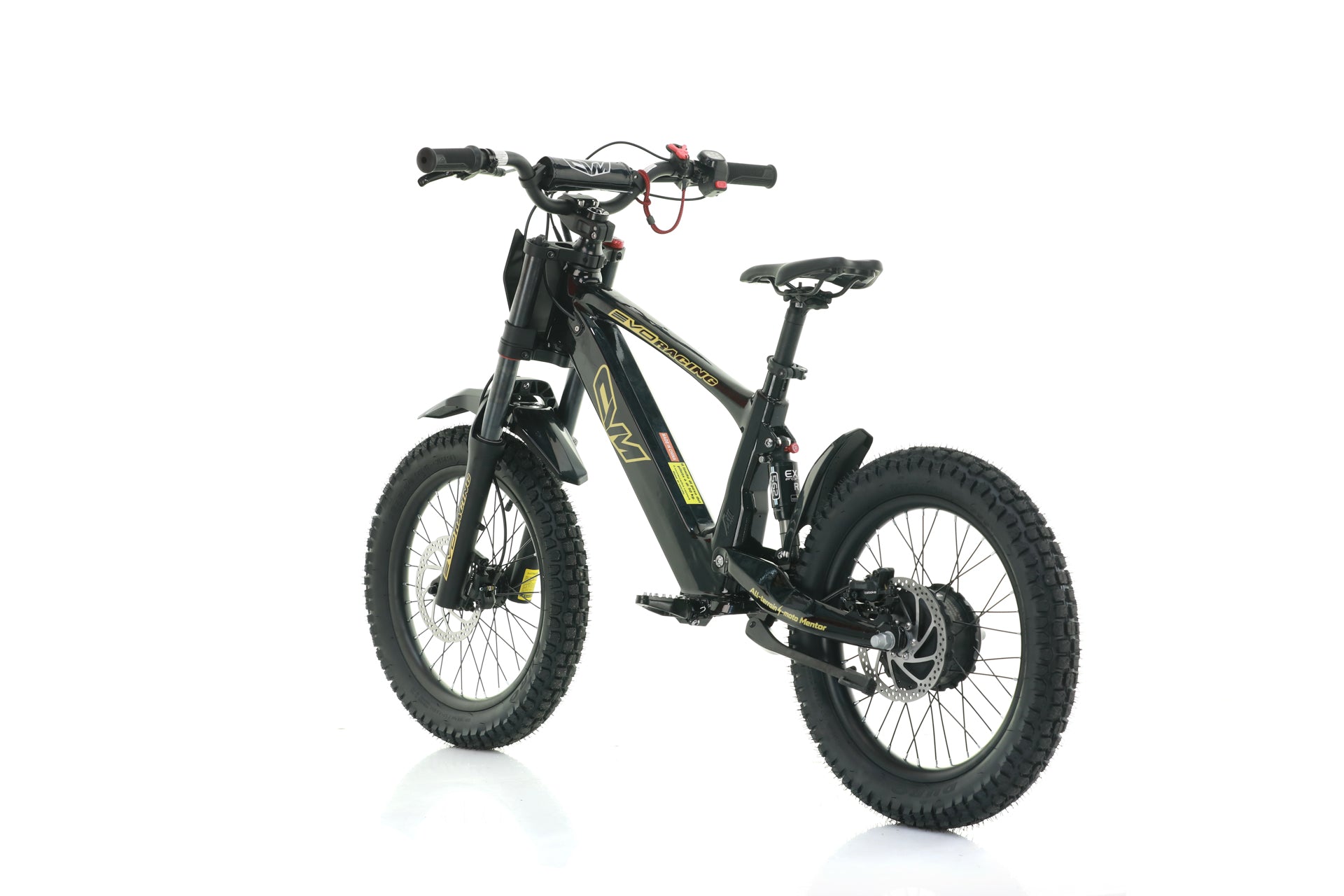Bici Elettrica Evo Racing 18