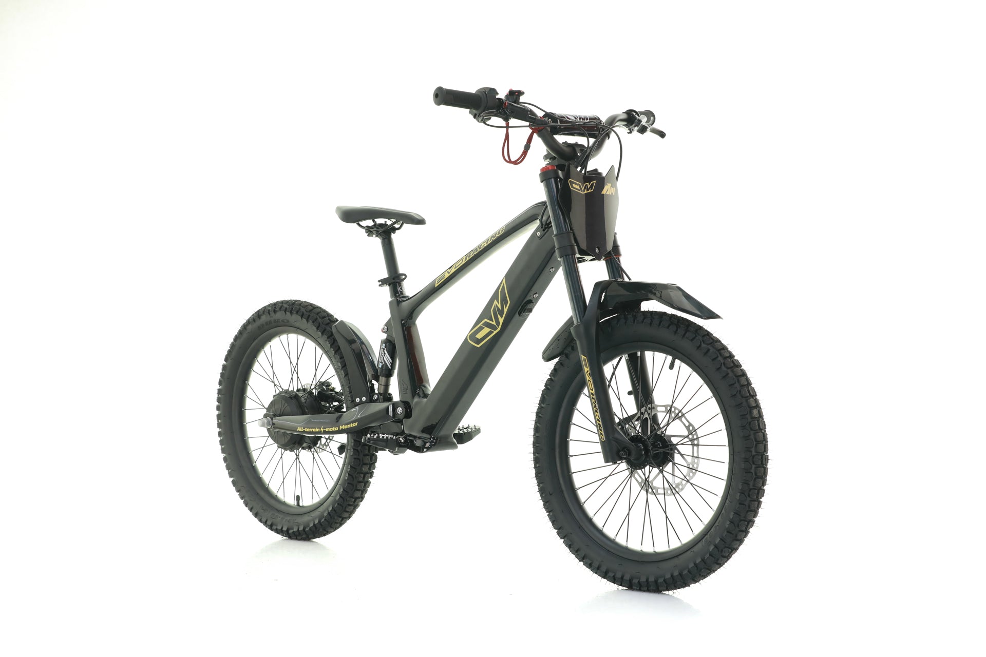 Bici Elettrica Evo Racing 20