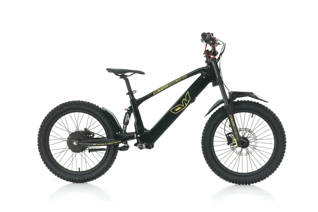 Bici Elettrica Evo Racing 20