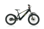 Bici Elettrica Evo Racing 20