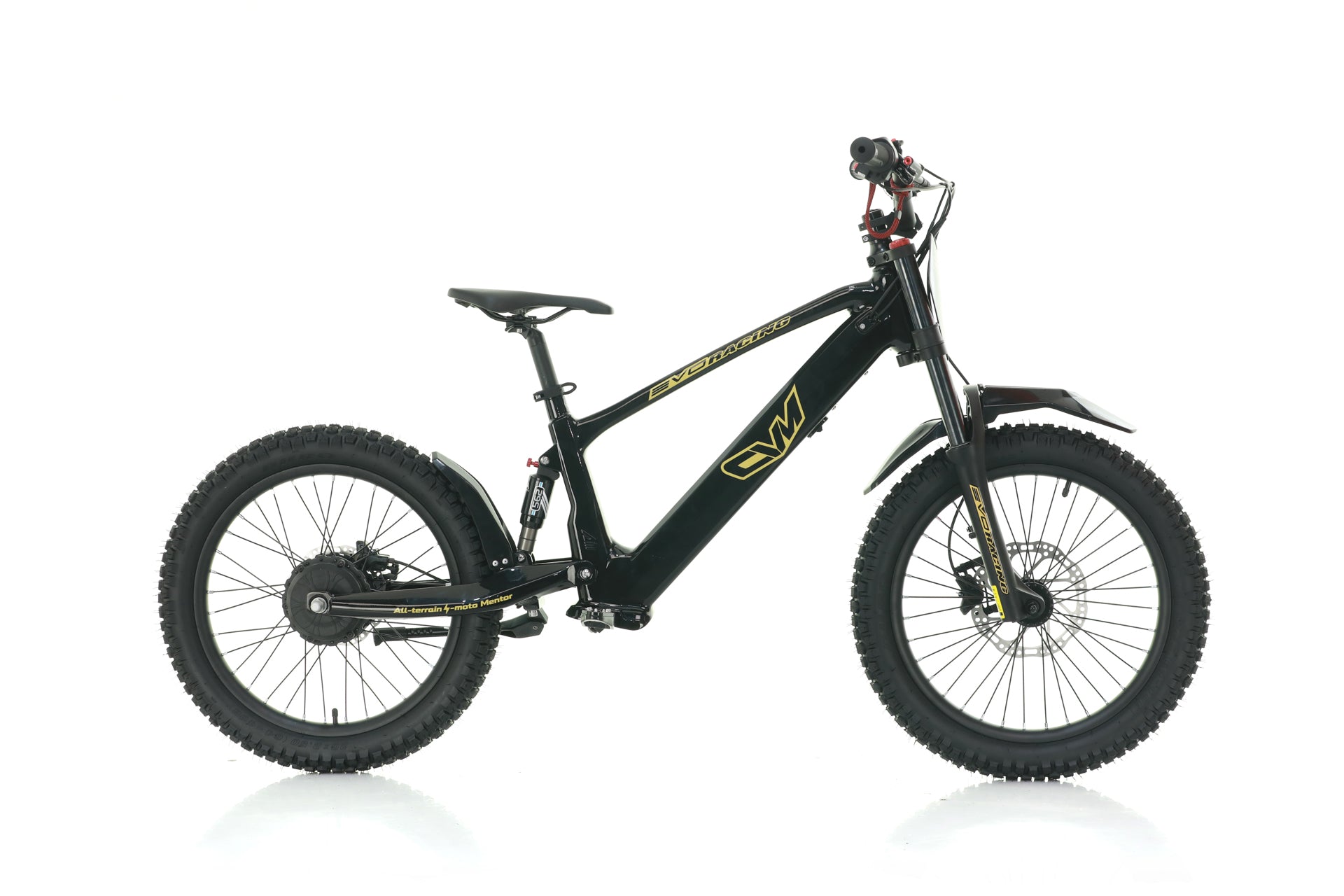 Bici Elettrica Evo Racing 20